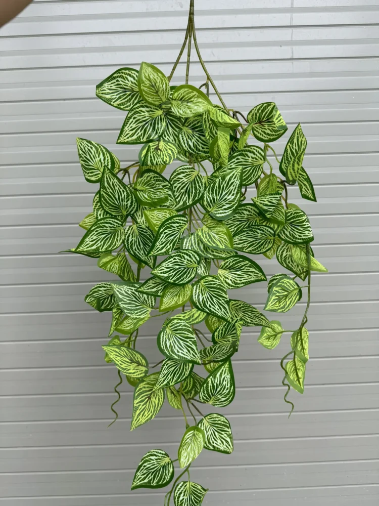 Rủ 3 Nhánh