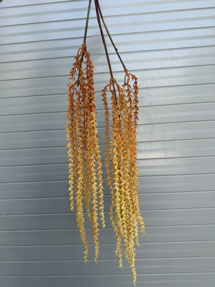 Rủ Gạo