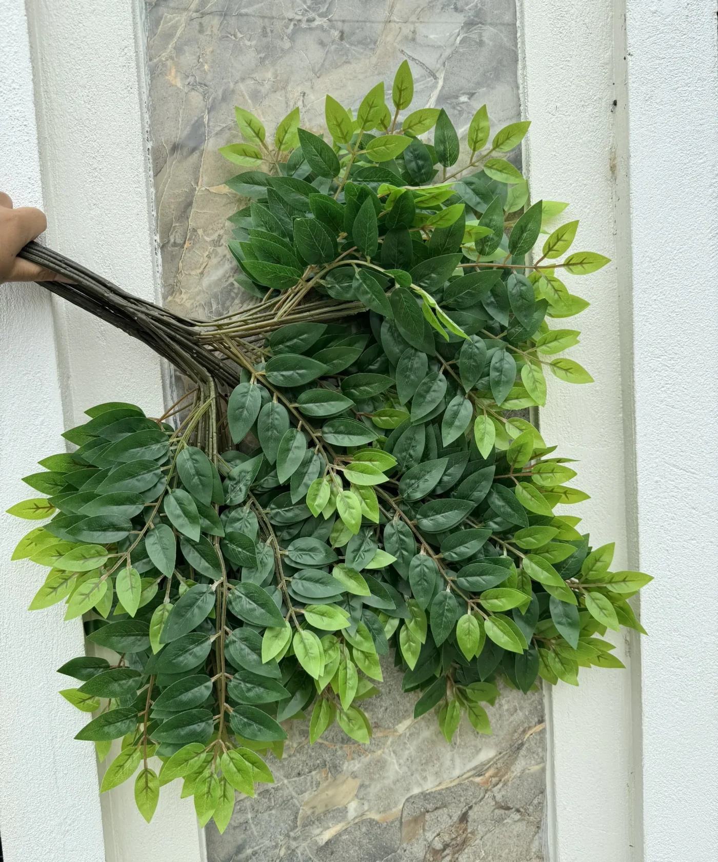 Bó Lá Khế