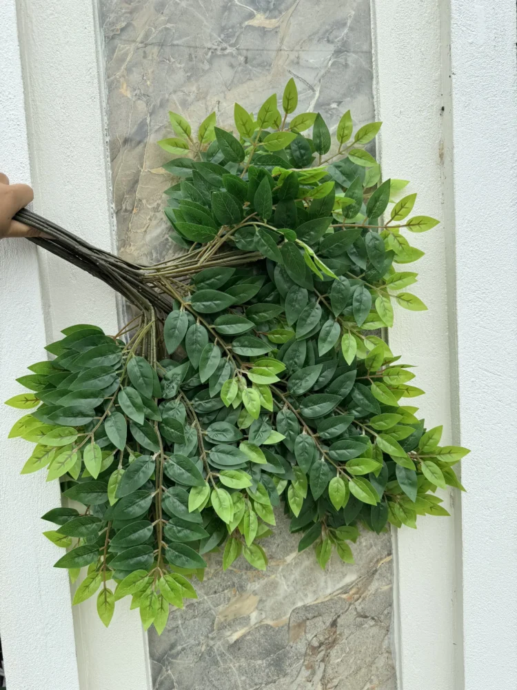 Bó Lá Khế
