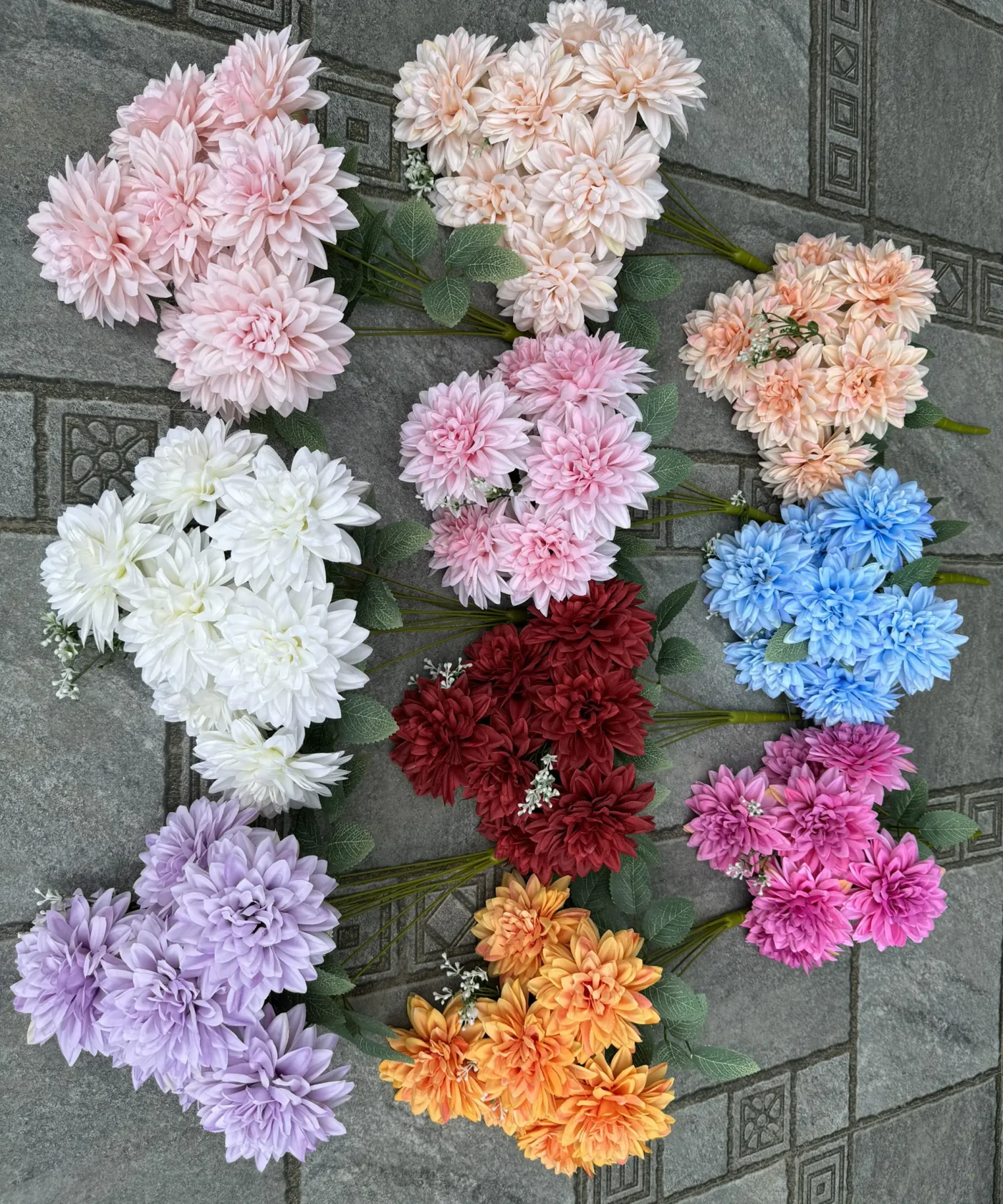 Thược Dược Kép