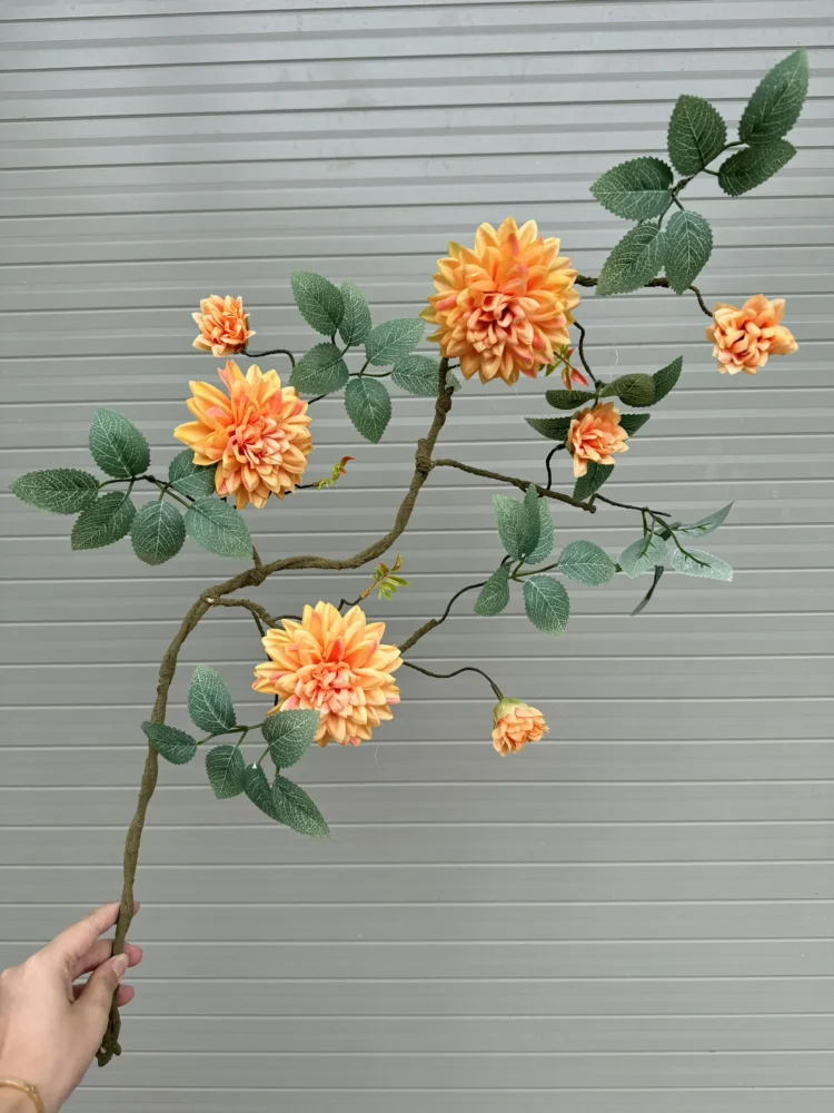 Cành Dược Cổ